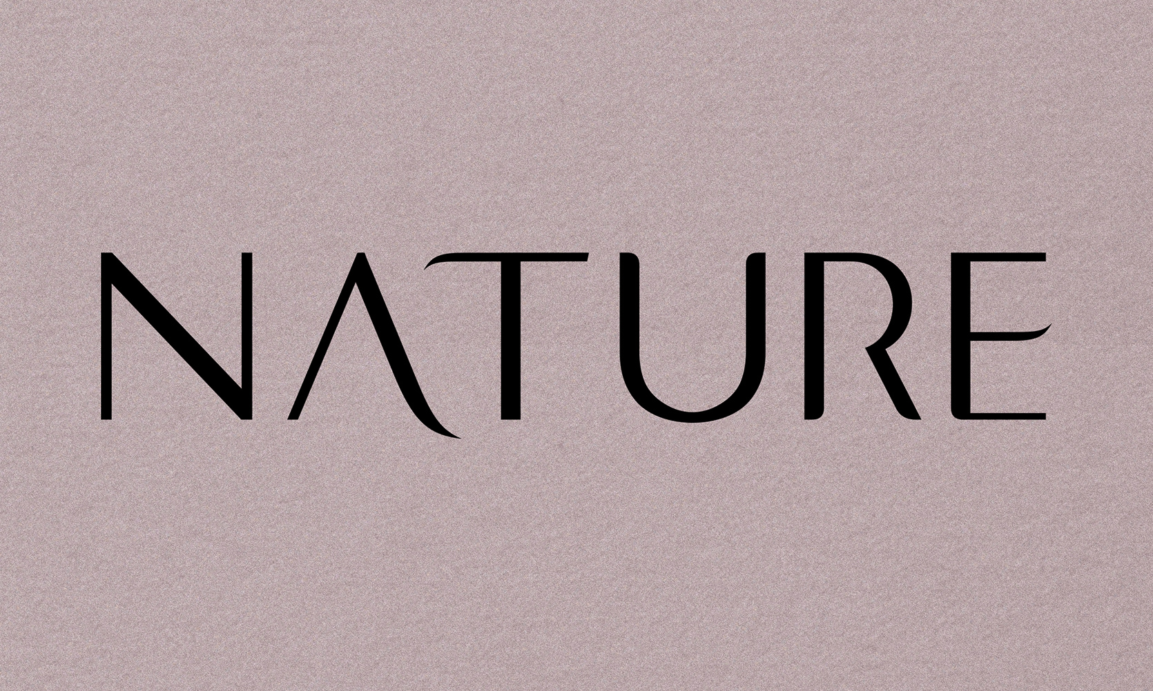 莱千雅NATURE化妆品品牌Logo设计-定制字体黑米色主视觉