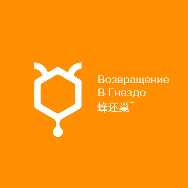 蜂还巢高端蜂蜜品牌Logo设计-农产品品牌VI-标派视觉