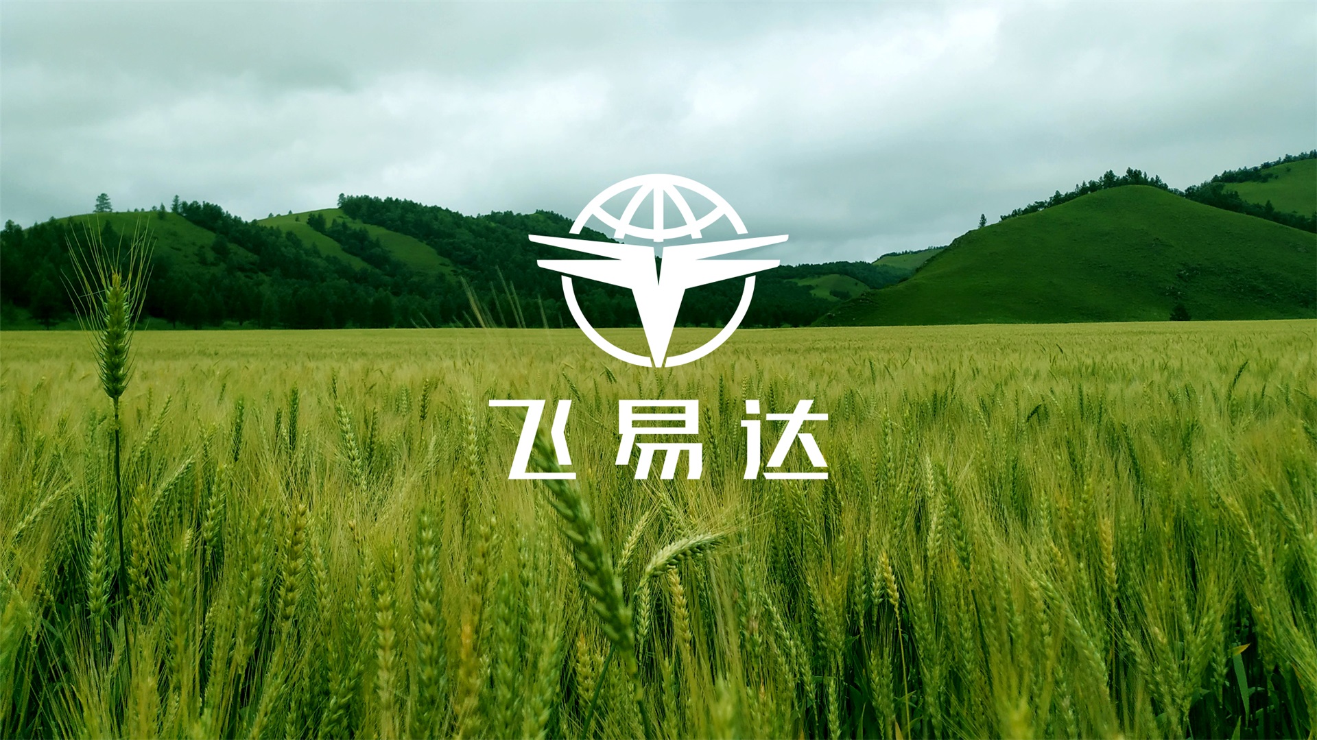 飞易达品牌VI-文化墙设计