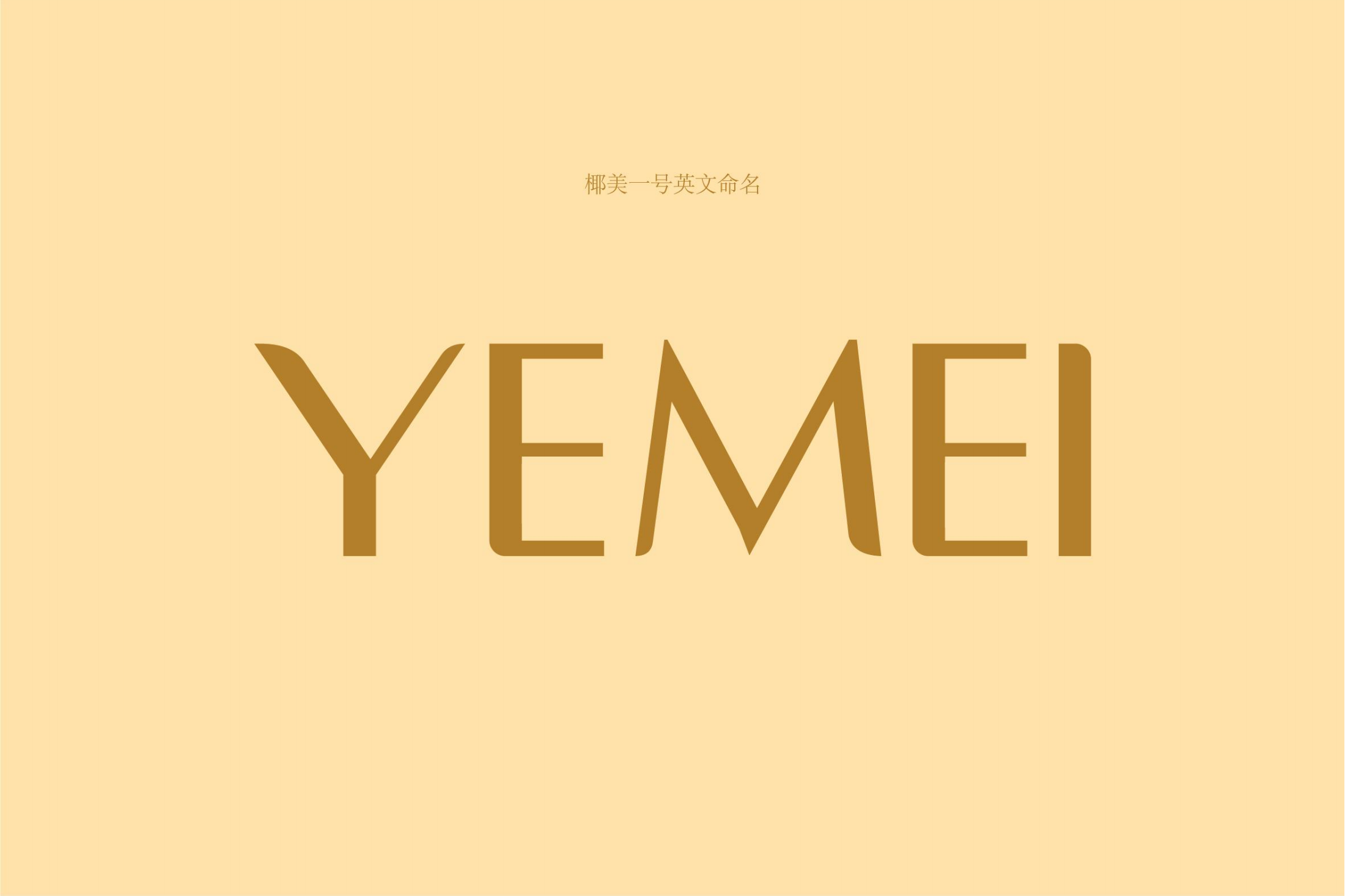 椰美一号品牌VI-信封信纸设计