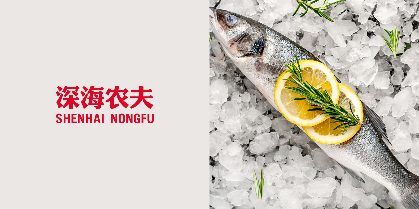 深海农夫海鲜品牌海报，红白黄清新高端