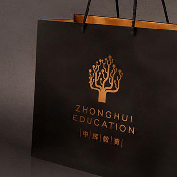 中辉教育Logo设计_教育培训品牌标志设计_标派视觉