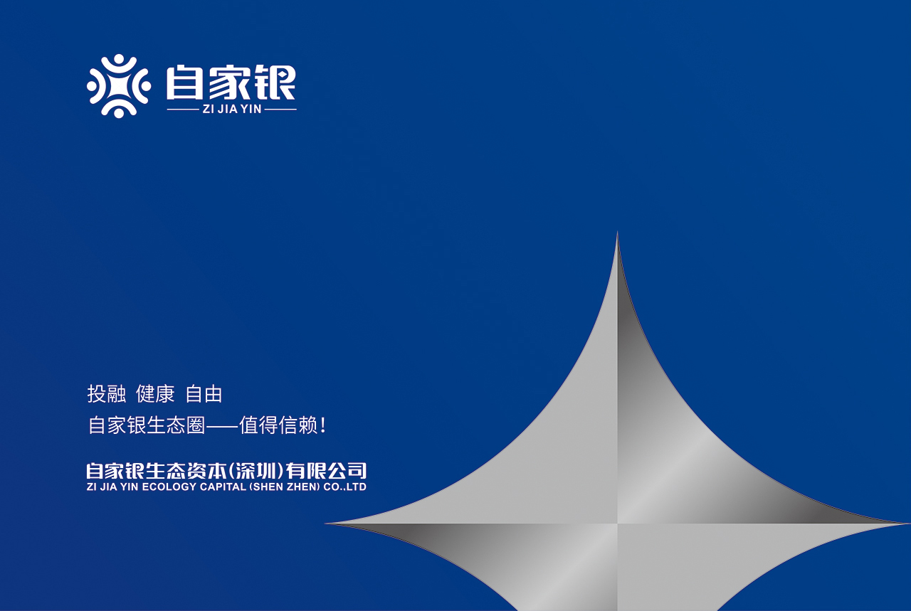 自家银生态资本品牌VI设计-几何连接符号Logo主视觉