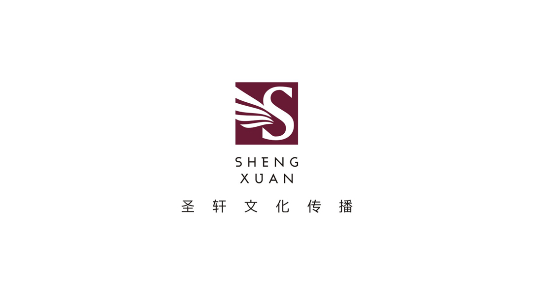 圣轩文化传播Logo标准展示-S字母飞鸟意象品牌标志设计