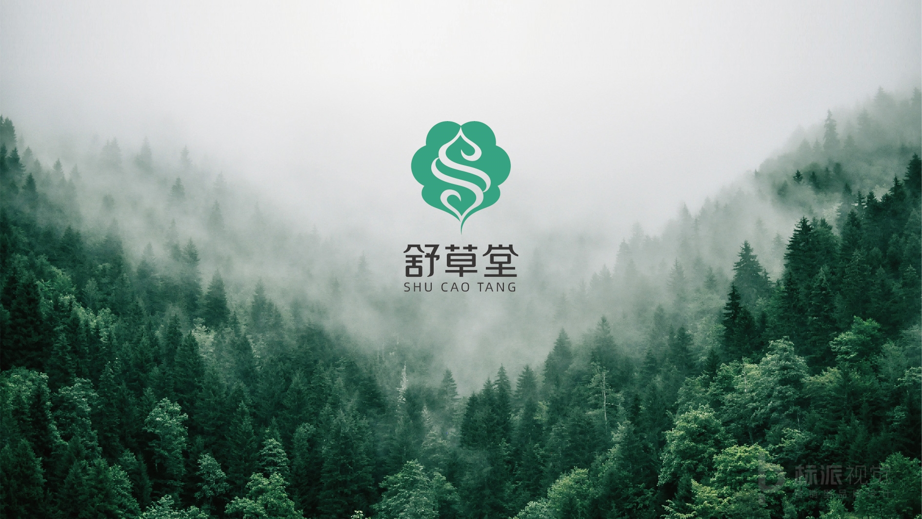 舒草堂健康护理品牌Logo设计-四叶云朵S形曲线主视觉
