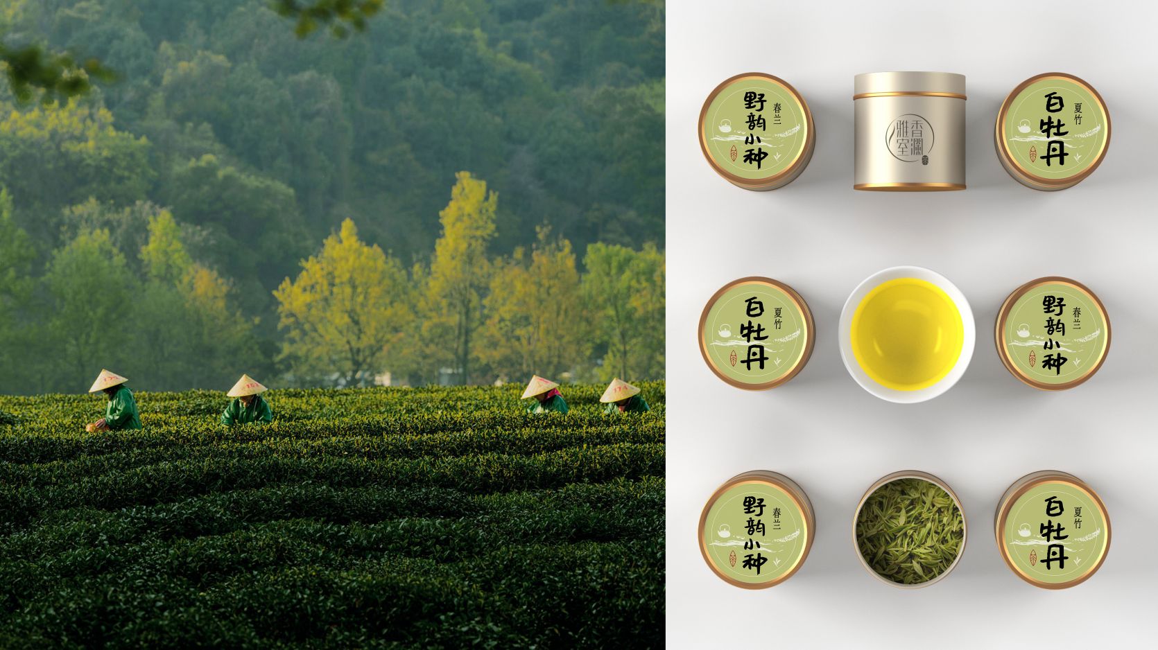 香澜雅室品牌VI-茶具应用