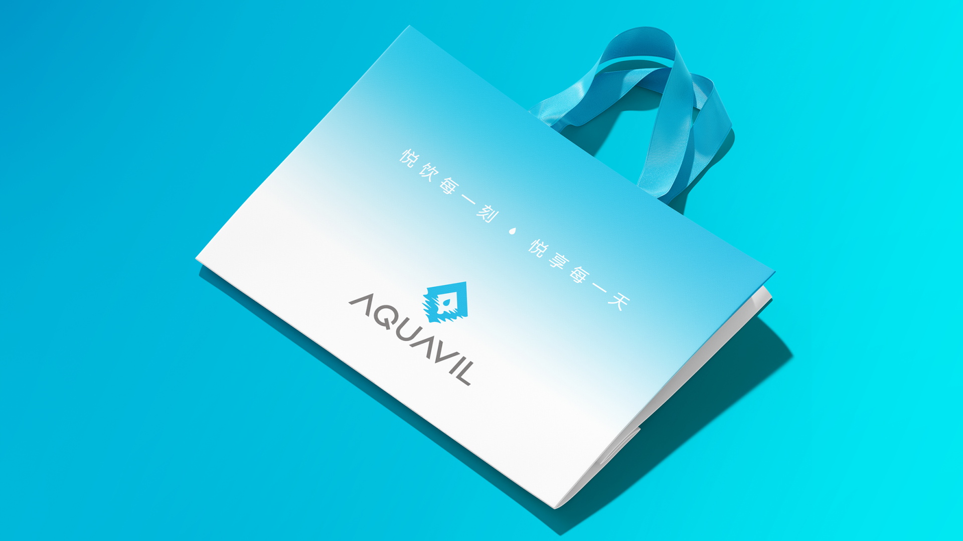 AQUAVIL品牌手提袋设计，饮品电器手提袋设计，欧美市场品牌