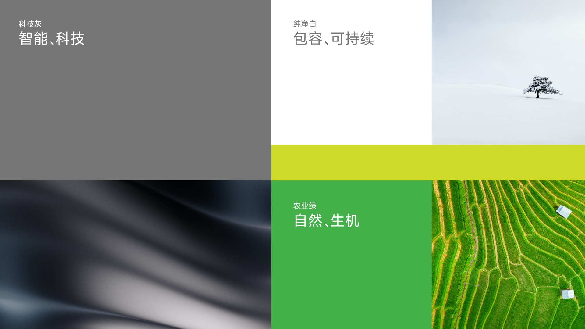 飞易达品牌VI-名片设计