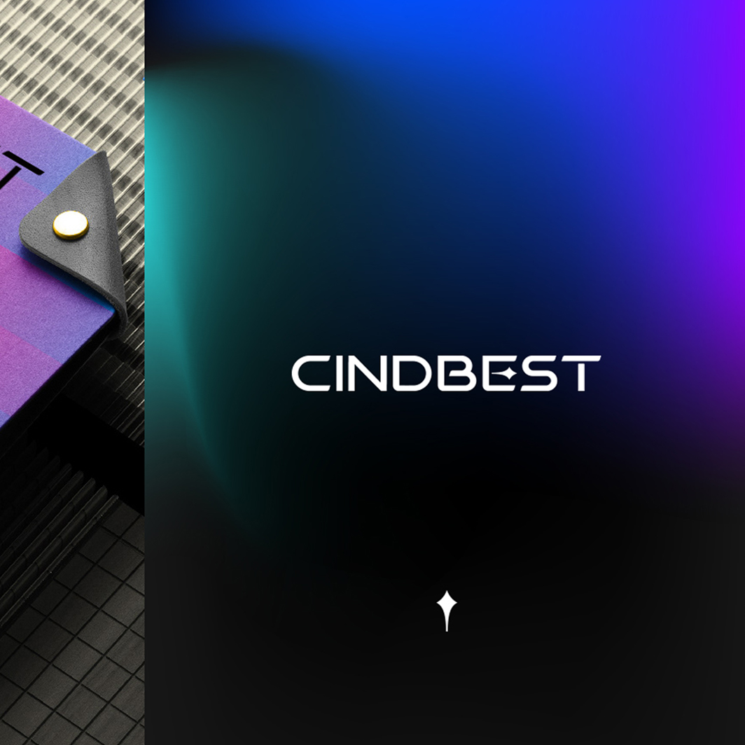 森东宝Cindbest品牌Logo升级-探针台VI设计-标派视觉