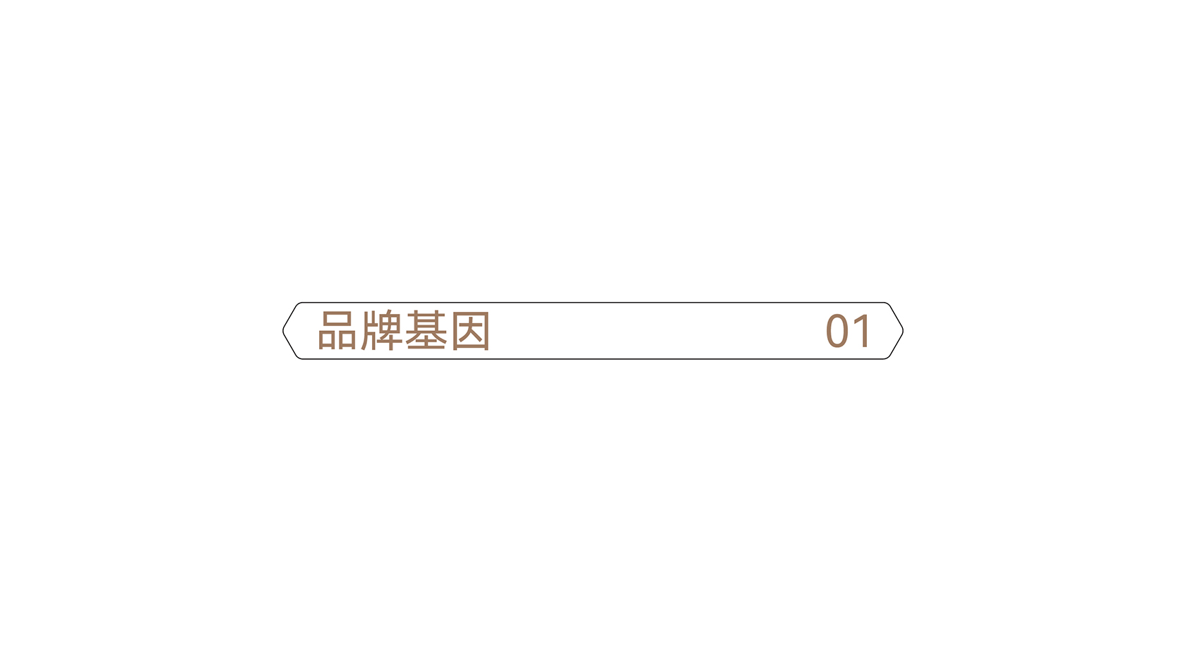 鞋类品牌设计,鞋类品牌VI策划设计,电商平台VI视觉规范,UBZ品牌设计,鞋类品牌设计,微型VI设计