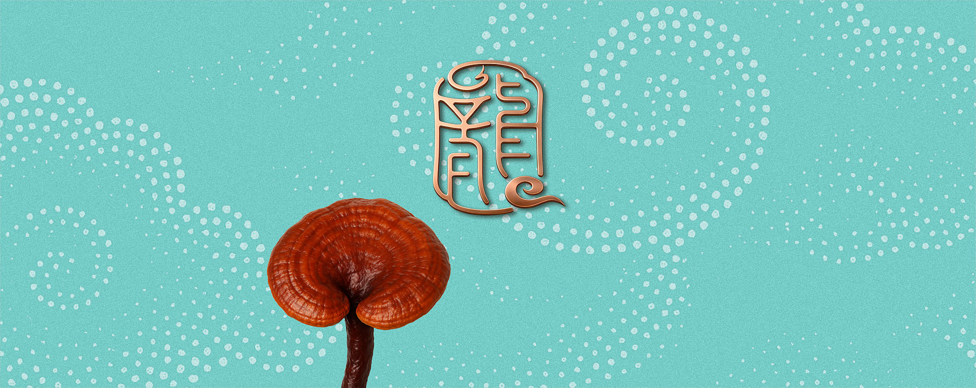 龙溪谷鲜灵芝品牌全案策划-保健品包装设计-标派视觉