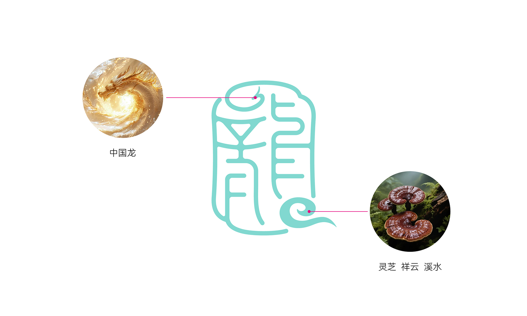 龙溪谷品牌VI-灵芝包装-内部展示