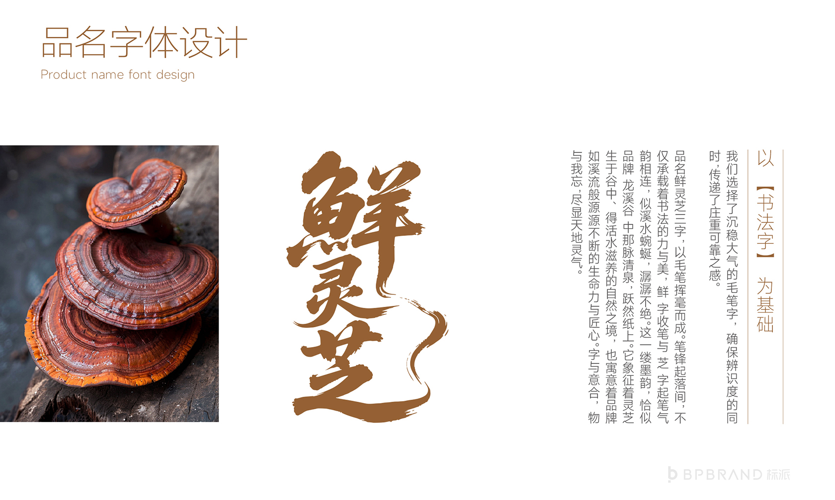 龙溪谷品牌VI-灵芝礼盒手提袋