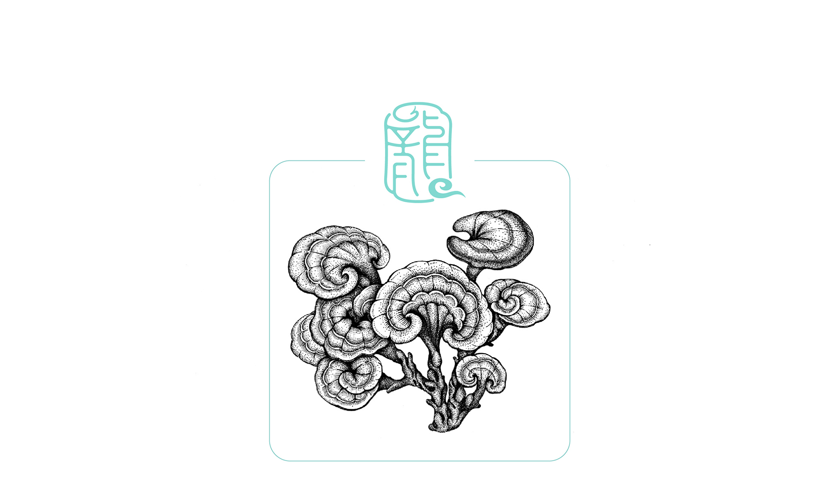 龙溪谷品牌VI-应用场景效果图