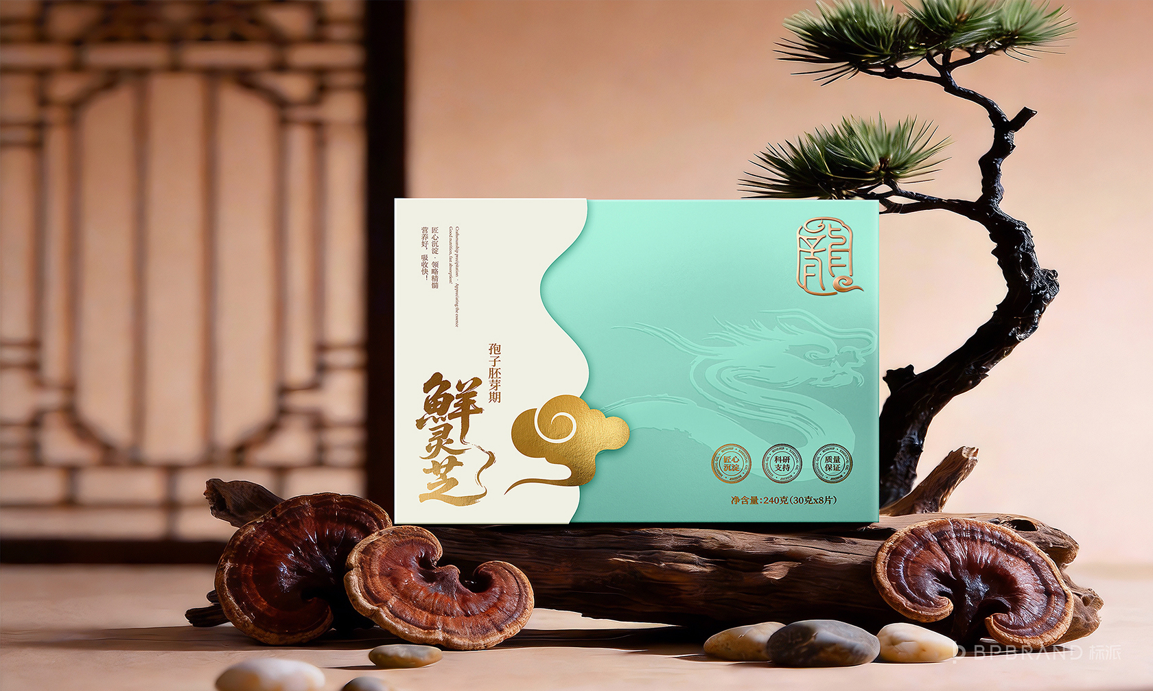 龙溪谷品牌VI-宣传物料设计