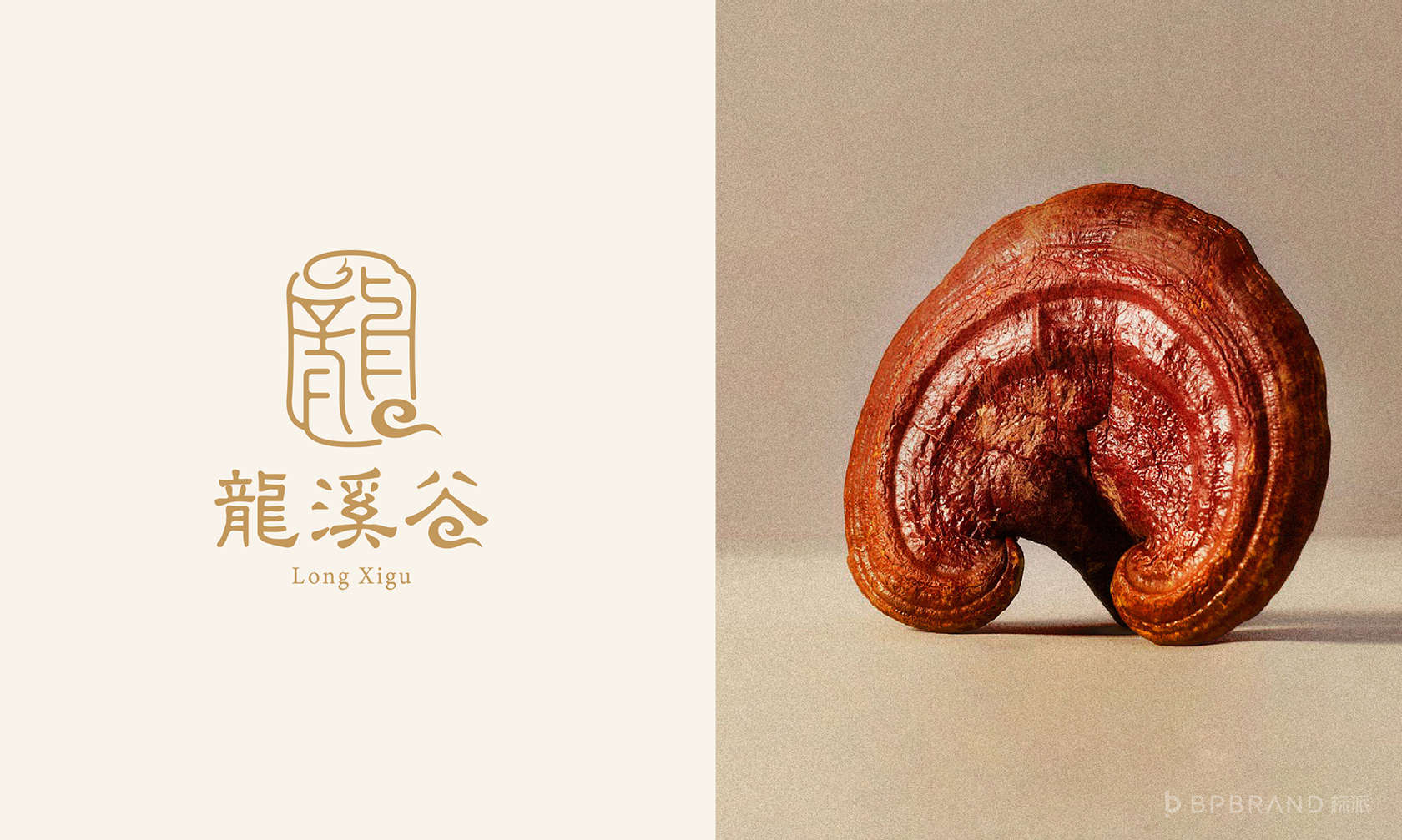 龙溪谷品牌VI-產品展示