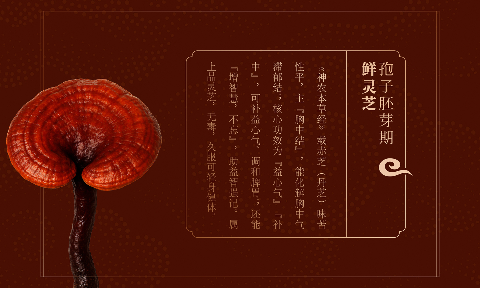 龙溪谷品牌VI-VI系统总览